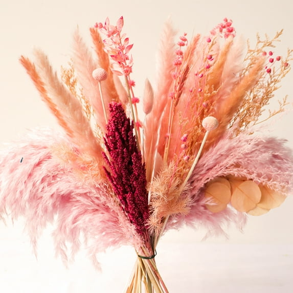 Acfruits Pink Natural Dried Pampas Grass Bouquet, 17 Inch Blush Pink Pampas Grass Decor Dried Flower Arrangement for Home Wedding Decoration