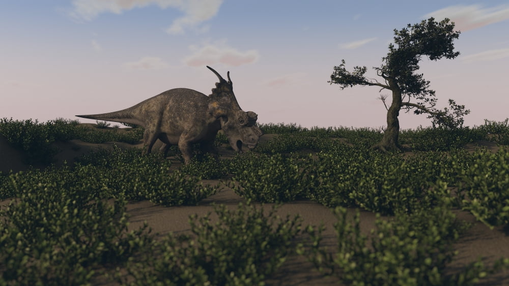Achelousaurus walking amongst swamp grass Canvas Art - Kostyantyn IvanyshenStocktrek Images (19 x 11)