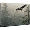 thumbnail image 1 of Acheng Bald Eagle Decor Wall Art Forest Pictures Wall Decor Eagle Canvas Prints Painting Forest Decorations Framed Artwork for Bathroom kitchen Bedroom Living Room 20x16inch, 1 of 6