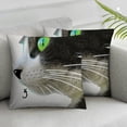 thumbnail image 1 of Acheng Black Cat Throw Pillow Covers Animal Sitting Cat Fun Lettering Watching Humans Pillowcase Pillow Shams Cushion Case Single Side Printing  2pcs White, 1 of 6