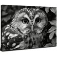 thumbnail image 1 of Acheng Black and White Owl Canvas Wall Art Bird Decor Forest Wise Man Pictures on Canvas Wall Art for Home Office Decorations Living Room Bedroom and Kitchen Decor Framed Canvas Prints 16x12inch, 1 of 6