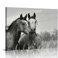 thumbnail image 1 of Acheng Black and White Horse Picture Wall Decor Animals Canvas Wall Art Romantic Horse Painting Artwork for Living Room Bedroom Office Home 20x16in, 1 of 6