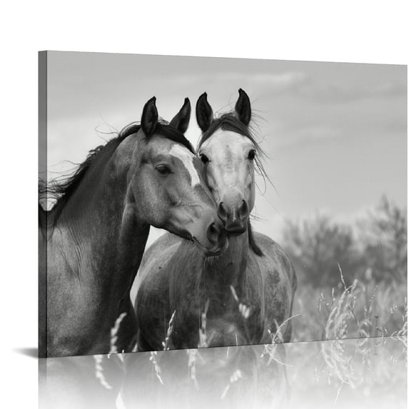 Acheng Black and White Horse Picture Wall Decor Animals Canvas Wall Art Romantic Horse Painting Artwork for Living Room Bedroom Office Home 20x16in