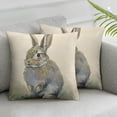 thumbnail image 1 of Acheng Easter Decor Easter Bunny Pillow Cover Spring Decor Easter Rabbit Pillow Chusion Covers 2pcs White, 1 of 6