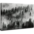 thumbnail image 1 of Acheng Forest Canvas Picture Wall Art - Misty Foggy Landscape Contemporary Monochrome Pine Tree Photo Prints Framed Wall Decor for Living Room, Bedroom, Office (Multiple Sizes) 16x12inch, 1 of 6