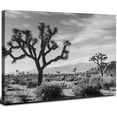 thumbnail image 1 of Acheng Framed Canvas Print Wall Art Desert Tree Panoramic Vintage Inspired Stripes Retro Fine Art Illustrations Decorative Colorful for Bedroom  16x12inch, 1 of 6