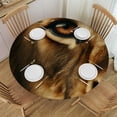 thumbnail image 1 of Acheng Lion Fur Texture Round Tablecloth Outdoor Fitted 100% Polyester Fiber Outdoor Picnic Camping and Indoor Kitchen Dining Party 46-50, 1 of 8