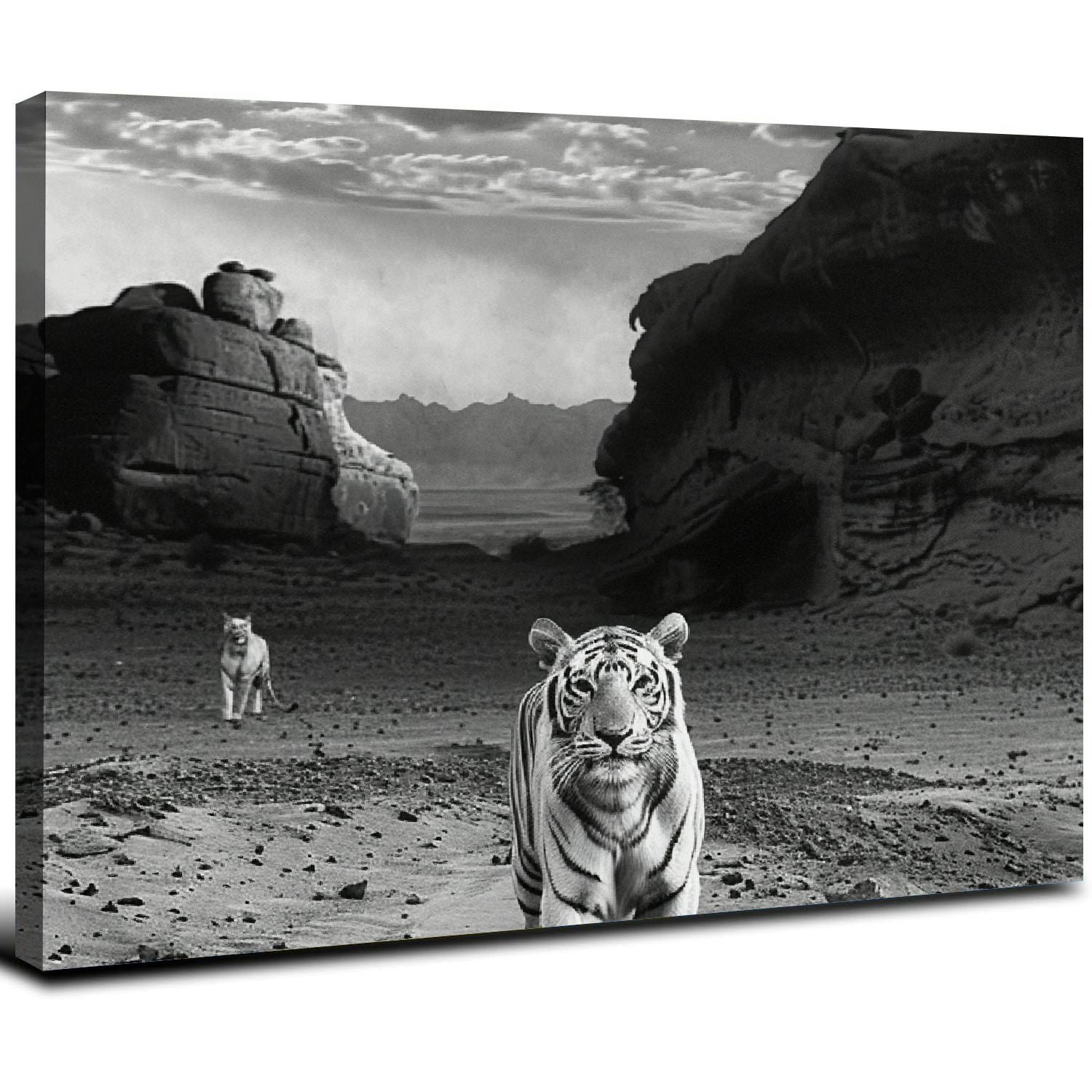 Acheng Lion Wall Art Mindset is Everything Motivational Animals Prints ...