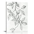 thumbnail image 1 of Acheng Living Room Decor Wall Art Abstract Black and White Gray Plant Leaves Outline Lines Modern Minimalist Canvas Artwork Pictures for Bedroom Walls 12x16 in, 1 of 5