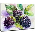 thumbnail image 1 of Acheng Square Canvas Wall Art - BlackBerry and Passion Fruit Watercolor | Fruits Art and Illustrations - Giclee Print Gallery Wrap Modern Home Art Ready to Hang 20x16inch, 1 of 6