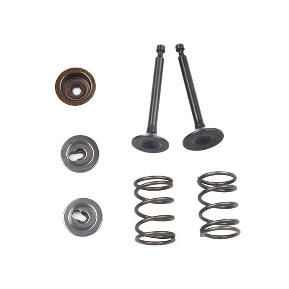 Achieve Reliable And Powerful Intake And Exhaust Valve Spring Holders And Seals 1 Set Valve Spring Kit For Honda GX35 Engine