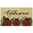 thumbnail image 1 of Achim Home Decor Printed 30x18" Ladybug Wood Coir Door Mat in Multi-Color, 1 of 4