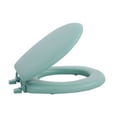 thumbnail image 1 of Achim Home Furnishings Fantasia Standard 17" Soft Toilet Seat Vinyl Light Green, 1 of 4