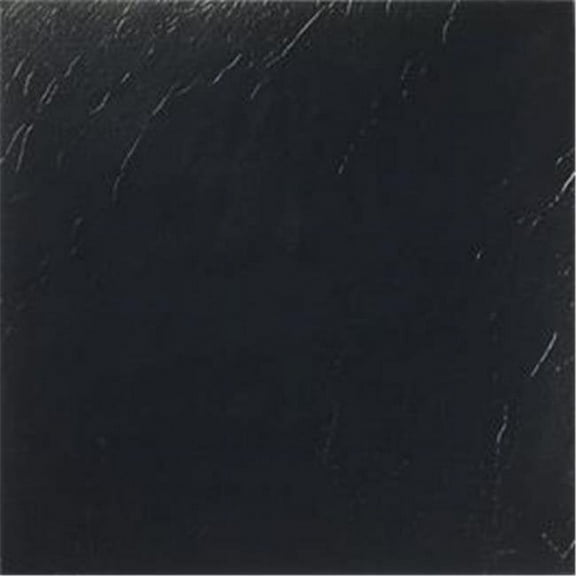 PowerPlay Achim Importing Co.44; Inc. Nexus Black 12 Inch x 12 Inch Self Adhesive Vinyl Floor Tile #101