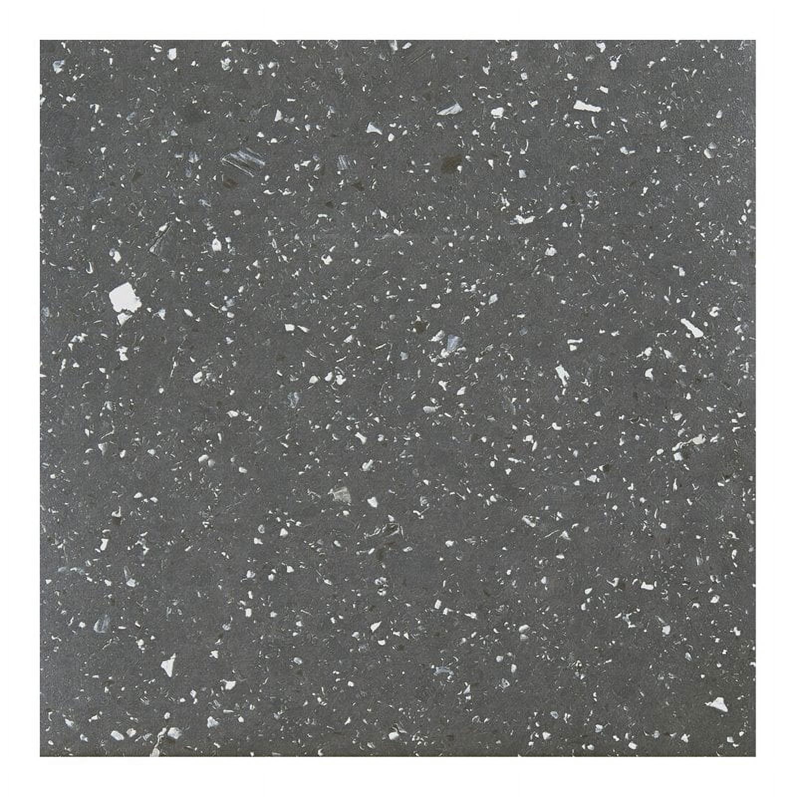 Achim Sterling Self Adhesive Vinyl Floor Tile - 20 Tiles/20 Sq. ft., 12 x 12, Black