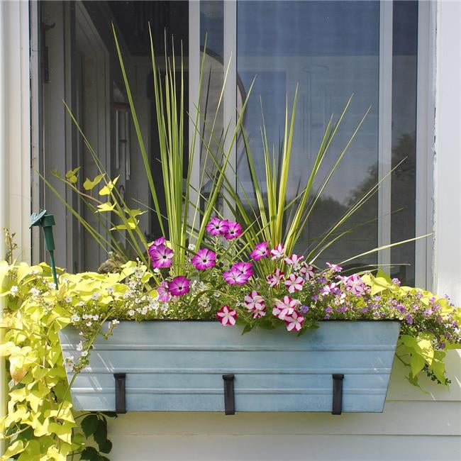 Large Blue Galvanized Steel Flower Box with Wall Brackets