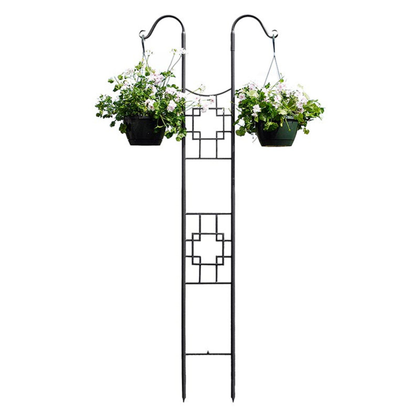 Graphite Wrought Iron Double Pole Trellis with Hooks