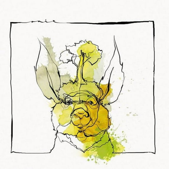 Acid Paul & Nico Stojan - Call Of The Valley - Electronica - Vinyl