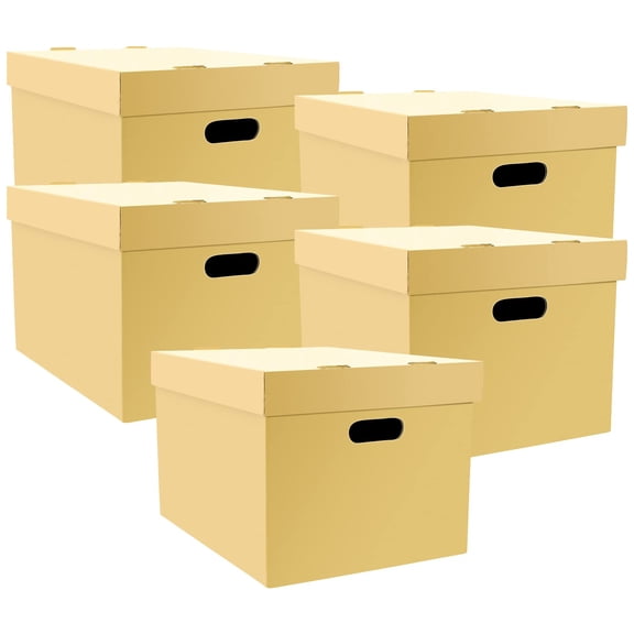 Acid-free Buffered Corrugated Storage Cartons 12x15x10 In Tan Pack of 5