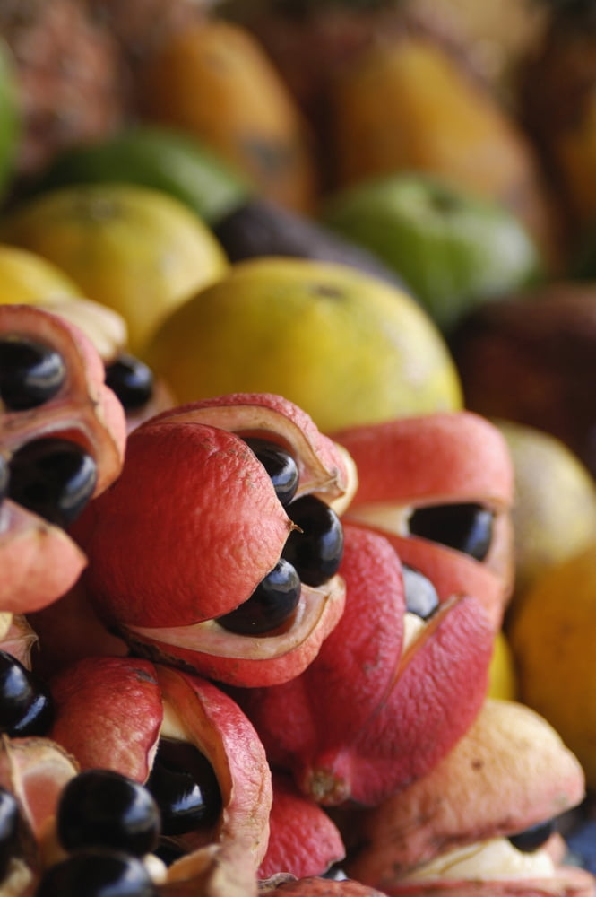 Ackees And Other Fruits For Sale On Stall Negril Jamaica Canvas Art - Ian Cumming Design Pics (12 x 19)