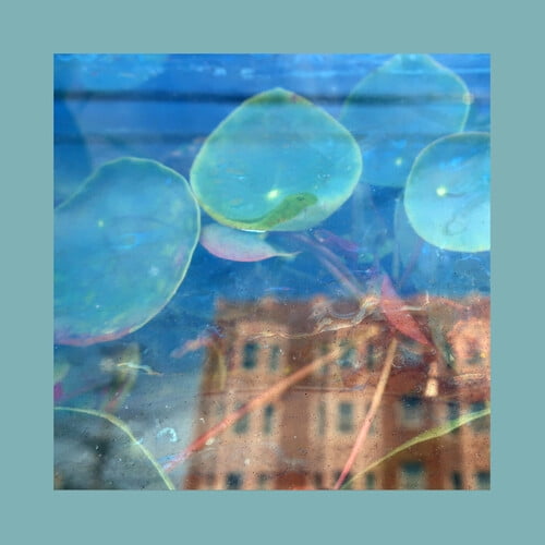 The Reds, Pinks & Purples - Acknowledge Kindness ( DARK CLOUD VINYL ) - Music & Performance
