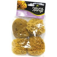 Armaly ProPlus 4.5 in. W X 4 in. L Beige Natural Sponge Faux/Artist Natural Sea Sponge
