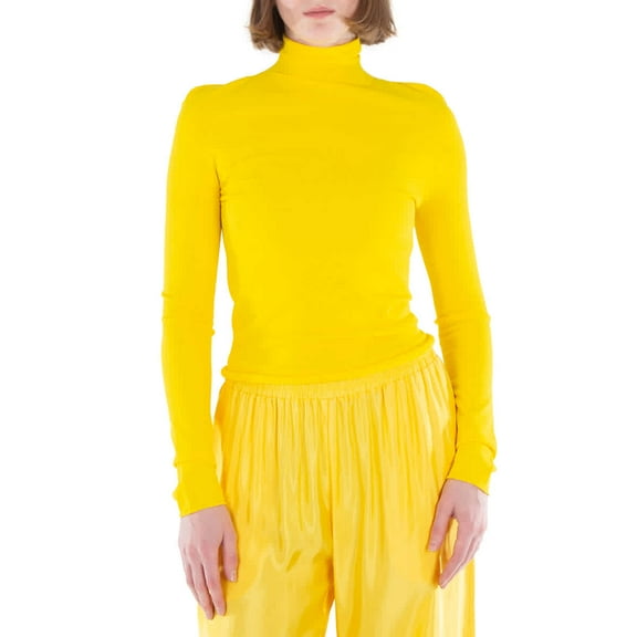 Acne Studios Turtleneck Long Sleeve Top, Size Small