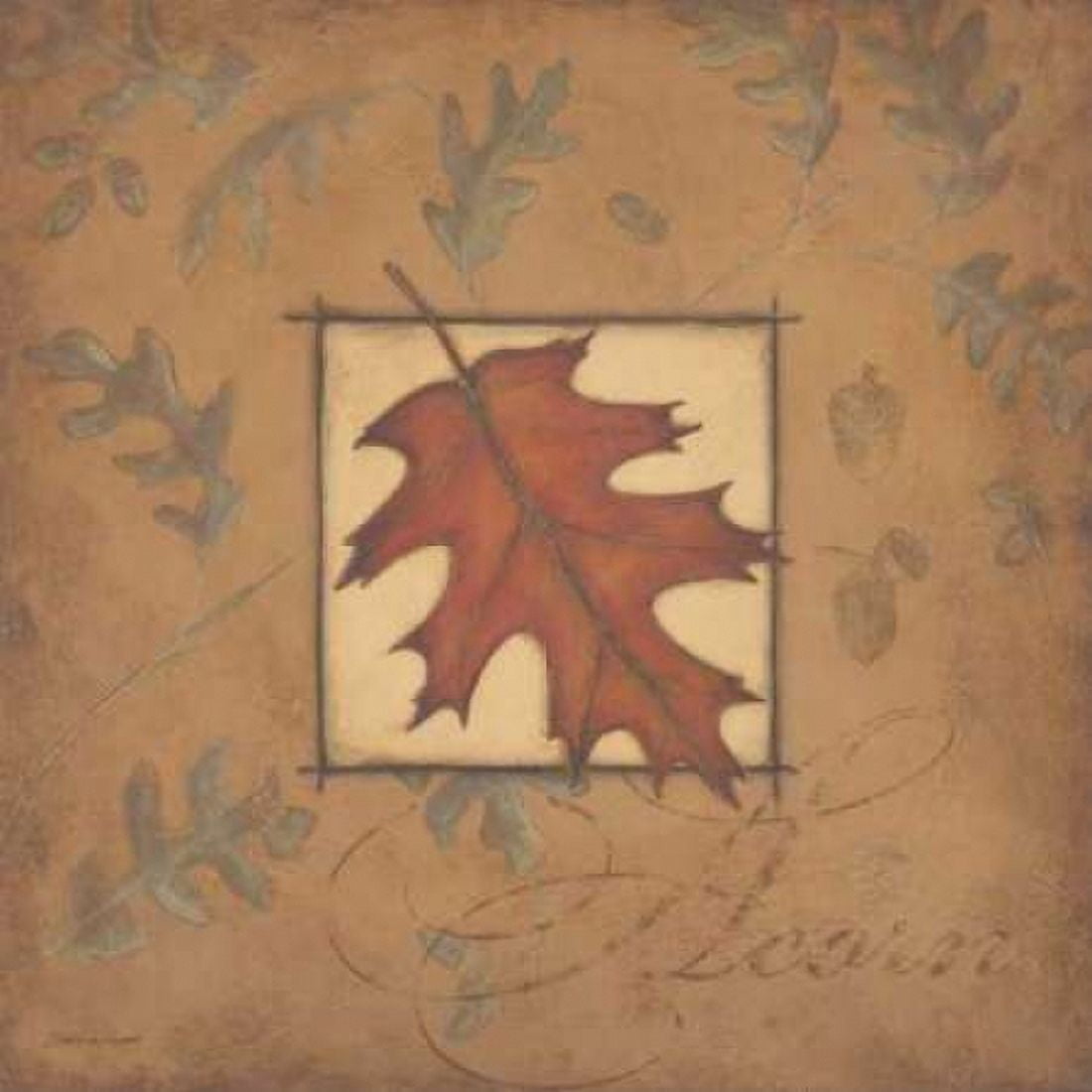 Acorn Canvas Art - Stephanie Marrott (24 x 24)