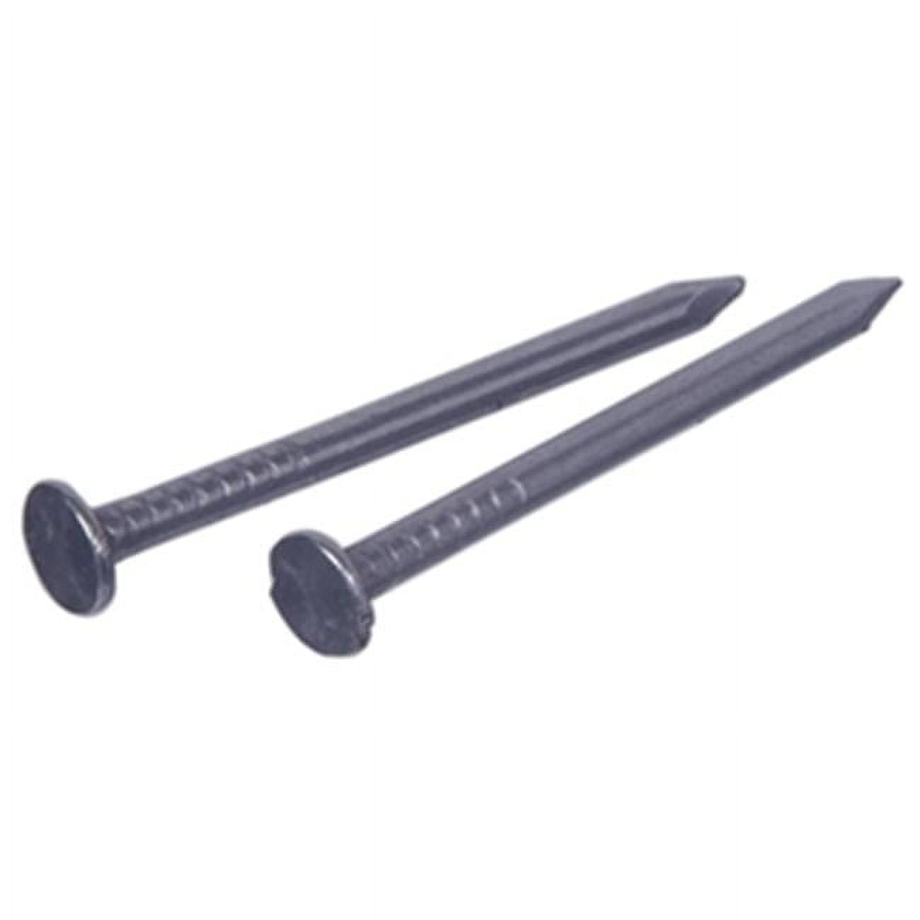Acorn Manufacturing CC10Z 10D Common Nail, 1 lbs