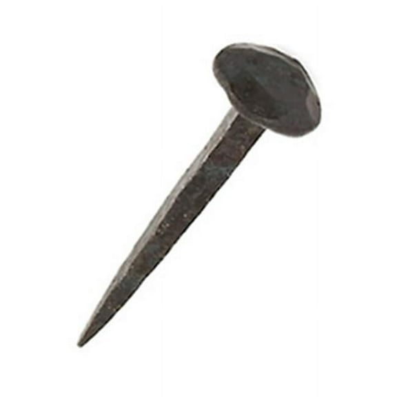 Acorn Manufacturing CCR10ZL 10D Common Rosehead Nail, 50 lbs