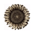 thumbnail image 1 of Acorn Manufacturing DQ8AP Artisan Collection Sunflower Knob, Antique Brass, 1 of 3