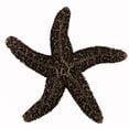 thumbnail image 1 of Acorn Manufacturing DPKAP Artisan Collection Natural Starfish Knob, Antique Brass, 1 of 3