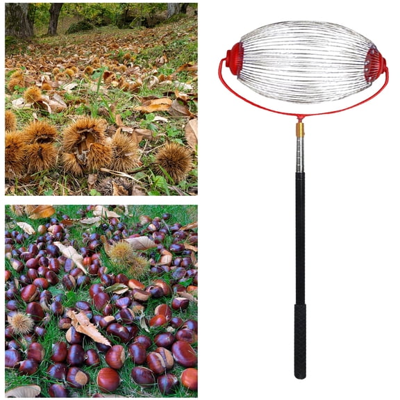 Acorn Picker Upper Roller, Garden Weasel Nut Gatherer, Manual Rolling Nut Collector, Multifunctional Walnut Picker Upper Roller for Pecans, Acorns, Hickory Nuts, Golf Balls, Sweet Gum Balls