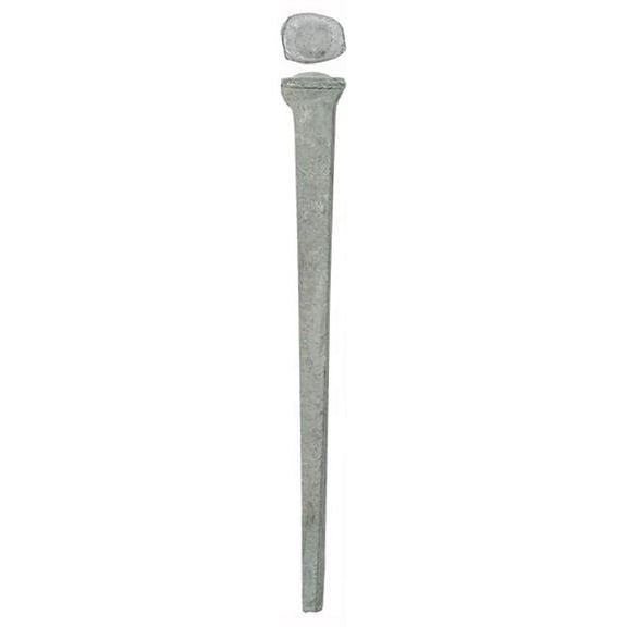 AcornMFG CCR12ZV 12D Common Rosehead Nail
