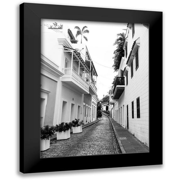 Acosta 15x18 Black Modern Framed Museum Art Print Titled - Viejo San Juan II