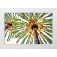 thumbnail image 1 of Acosta 18x13 White Modern Wood Framed Museum Art Print Titled - Chic Palms I, 1 of 4