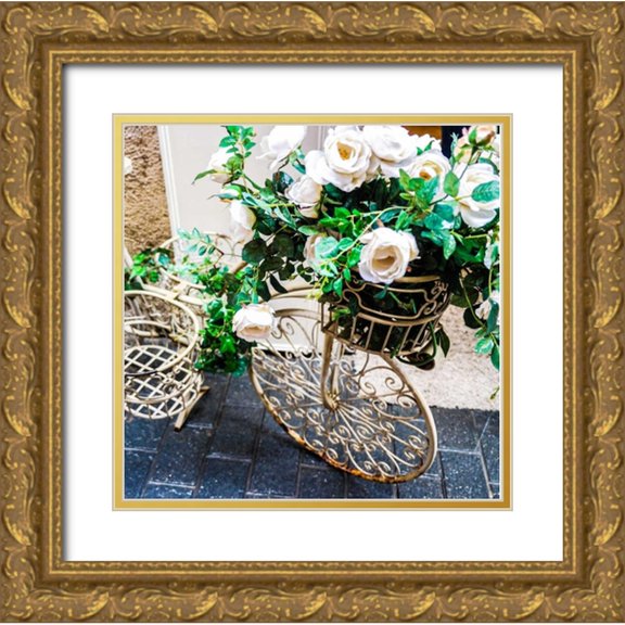 Acosta 20x20 Gold Ornate Wood Framed with Double Matting Museum Art Print Titled - Flower Bike Square