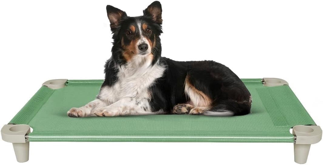 Acrimet Elevated Cooling Dog Bed, Breathable Mesh Cot, Stainless Steel Frame, Fits Dogs Up to 110 lb, Green, 40 x 24 in