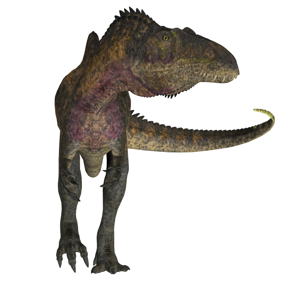 Acrocanthosaurus dinosaur on white background Canvas Art - Corey FordStocktrek Images (28 x 28)