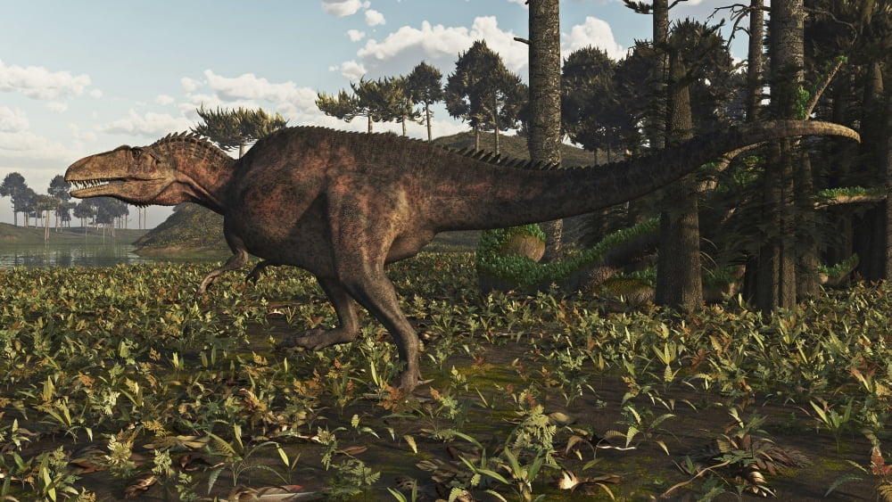Acrocanthosaurus dinosaur roaming a Cretaceous landscape Canvas Art - Arthur DoretyStocktrek Images (19 x 11)