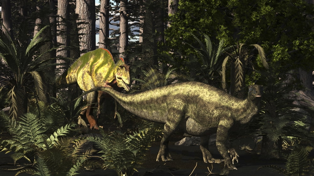 Acrocanthosaurus hunting Tenontosaurus in a forest Canvas Art - Arthur DoretyStocktrek Images (19 x 11)