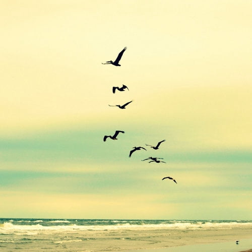 "Across the Endless Sea" Painting Print on Wrapped Canvas