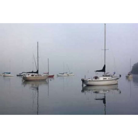 Across the Lake Poster Print by Tammy Putman (20 x 28)