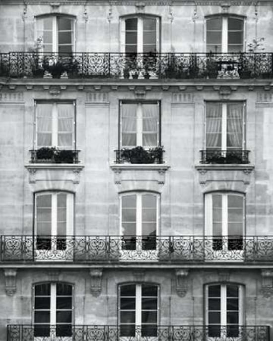 Across the Street II Canvas Art - Laura Marshall (24 x 30)