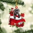 thumbnail image 1 of Acrylic 2D FLAT - Cane Corso In Gift Bag Christmas Ornament - Holiday Tree Decoration, 1 of 3