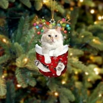 Acrylic 2D FLAT Cat In Snow Pocket Christmas Ornament 23