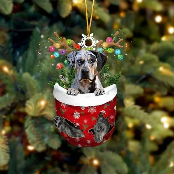 Acrylic 2D FLAT Catahoula Leopard Dog In Snow Pocket Christmas Ornament