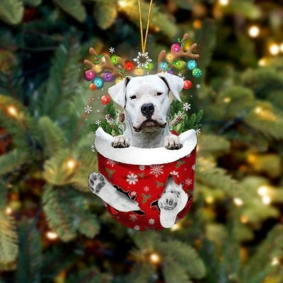 Acrylic 2D FLAT Dogo Argentino In Snow Pocket Christmas Ornament