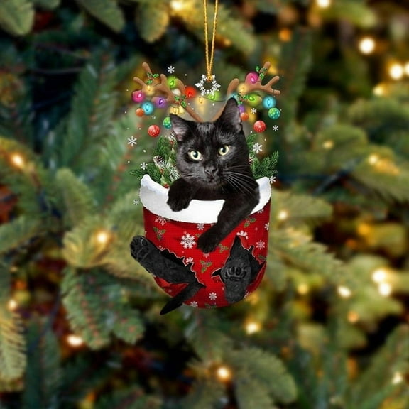 Acrylic 2D FLAT - Funny Black Cat In Snow Pocket Christmas Ornament Flat Acrylic Cat Ornament - Holiday Tree Decoration