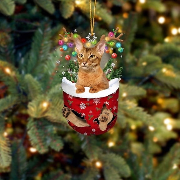 Acrylic 2D FLAT - Funny Cat Abyssinian In Snow Pocket Christmas Ornament Flat Acrylic Cat Ornament - Holiday Tree Decoration